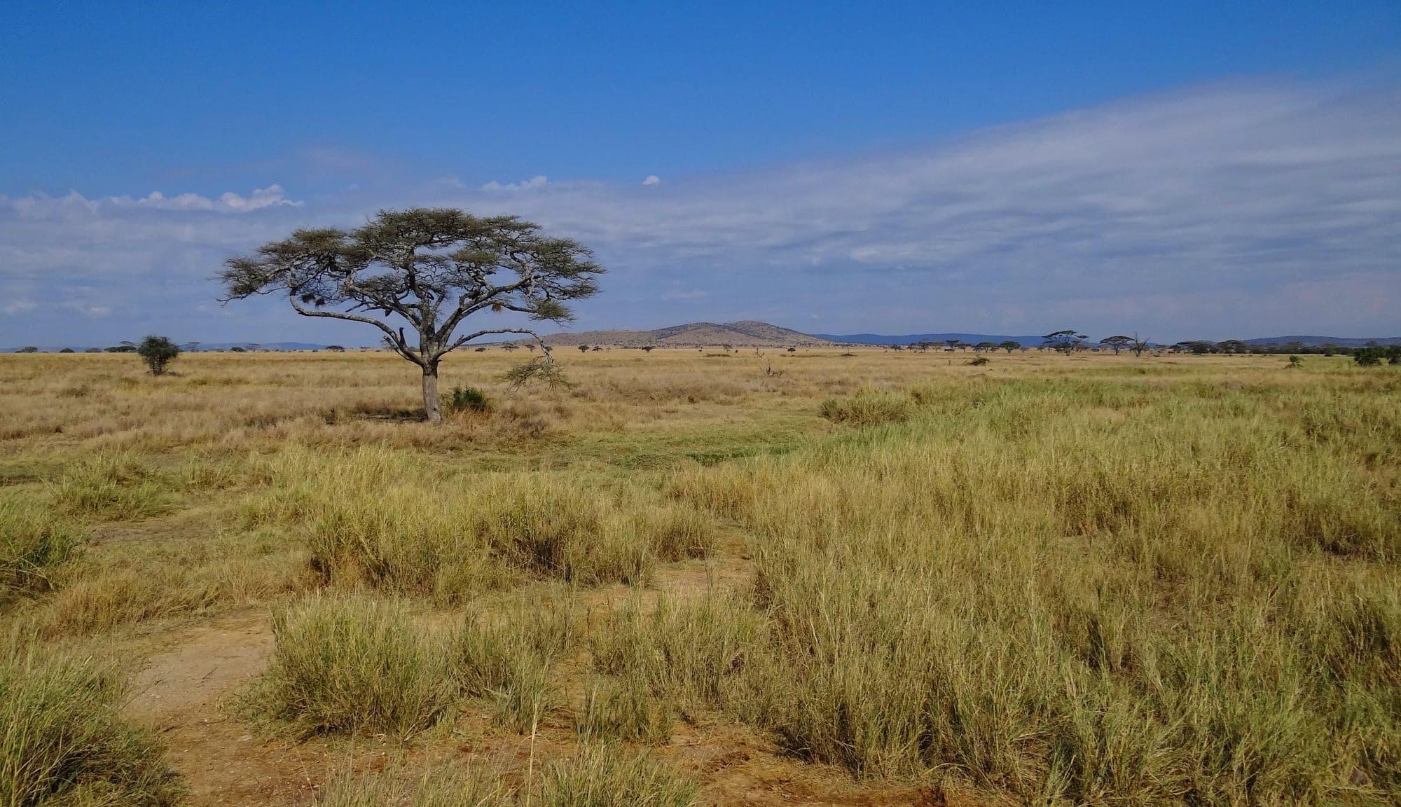 Arusha & Northern Tanzania