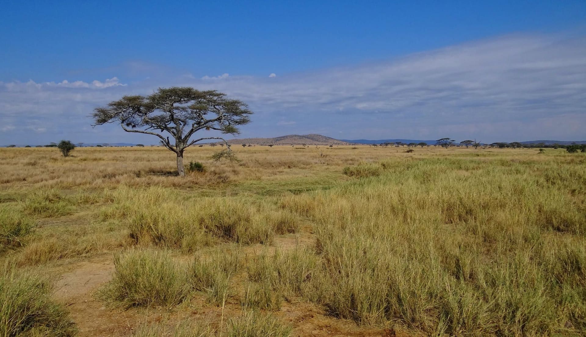 Arusha & Northern Tanzania