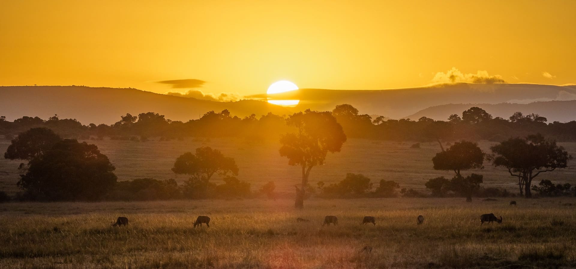 Sunset over the Maasai Mara, one of Trek's East African destinations
