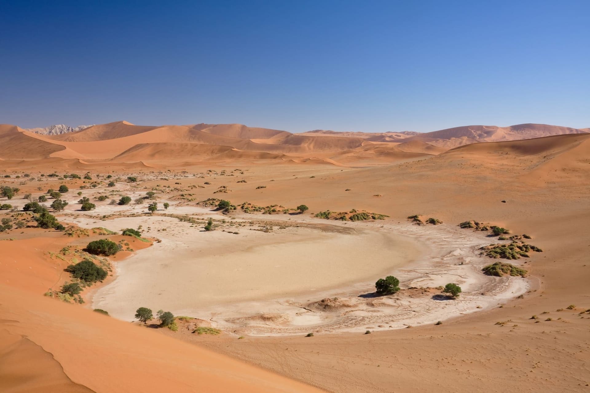 Namib & Sossusvlei